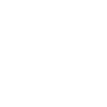 logo PINALLI